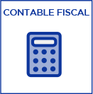 Contable fiscal